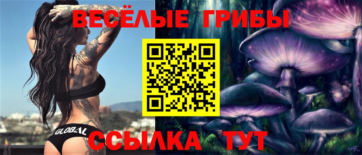 Псилоцибиновые грибы Psilocybe  купить  цена  Вход с VPN  Семёнов  Галлюциногенные грибы Cubensis 